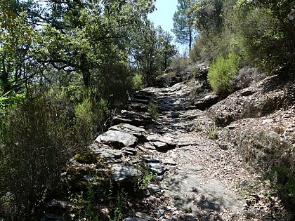 La nature domptée