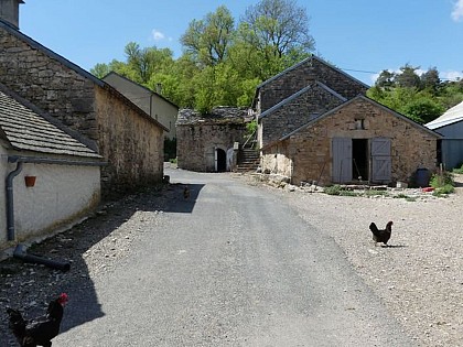 Sérigas, Le Marjoab