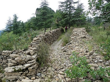 Sur le chemin des Rutènes