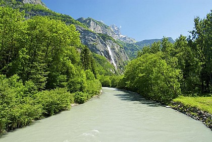 The River Arve