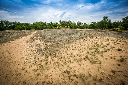 Sand dunes of "Les Charmes"