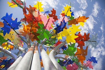 The multi-coloured tree by Philippe Million