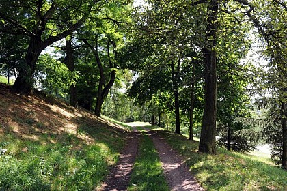 Jardin des Plantes