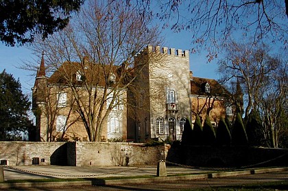Castel of Salvert