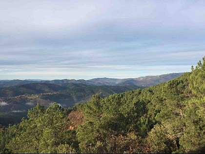 Vue sur les Cévennes et Mont Lozere