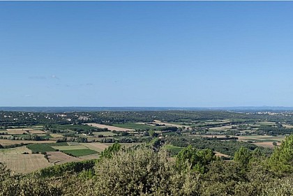 Point de vue sur les vignobles de l’Uzège