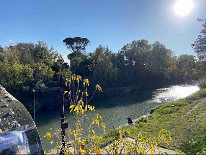 Canal du Rhône à Sète