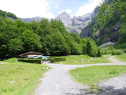Buvette du Prazon