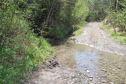 Béal du Pont ou Grand Béal