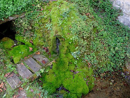 La source à travertin