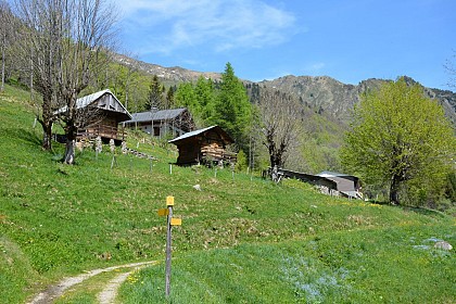 Tioulévé