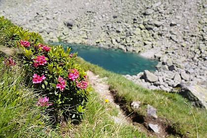 Lac Bleu