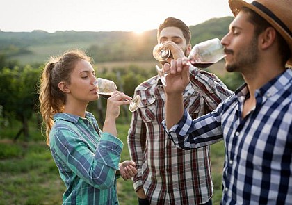 Visite de domaine viticole et dégustation de vin à Châteauneuf-du-Pape