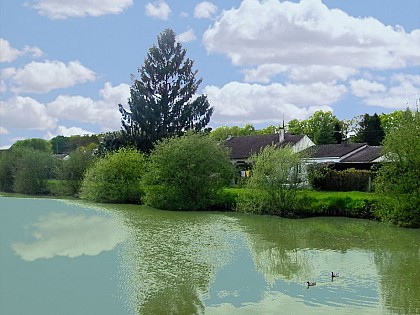 Etangs communaux de Saint Florent le Jeune
