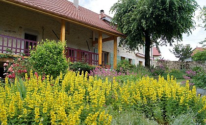 Bed and breakfast : Le Sorbier