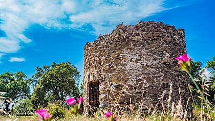 Windmill Brûlat