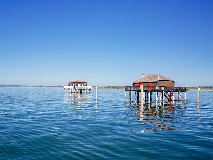 Tour de l'île aux oiseaux avec l'UBA