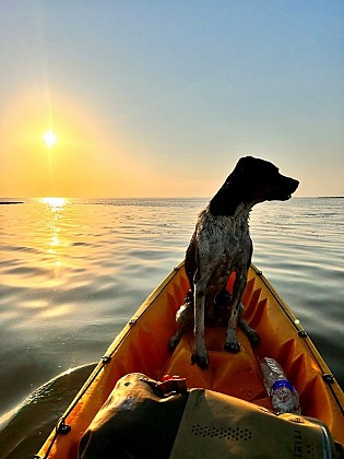 Kayak Trip