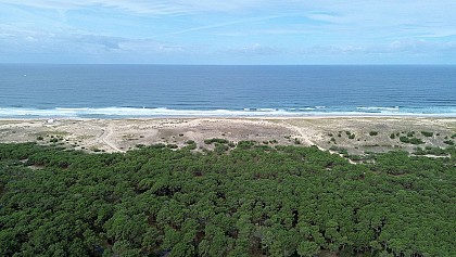 Camping Brémontier