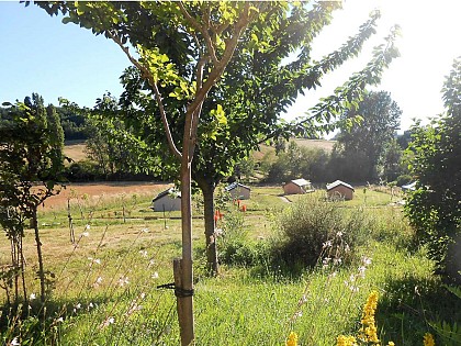 Tente Safari à TournonZen