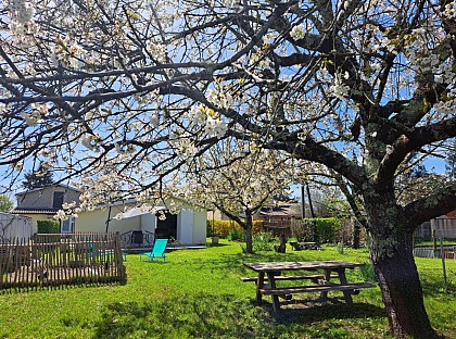 Gîte Les Cerisiers