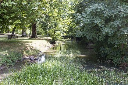 PICNIC AREA