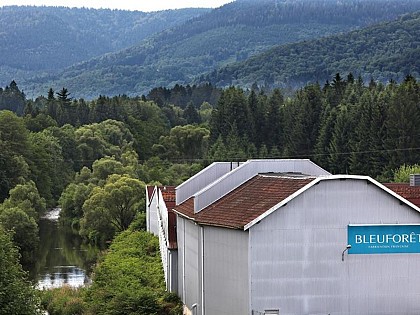 TRICOTAGE DES VOSGES BLEUFORET