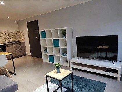 APPARTEMENT LE BLUE