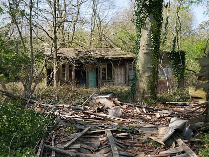 La ville qui rétrécit .... retour à la nature: l’ancienne cité du Bois du Court Digeau