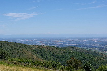 The Beaujolais moors