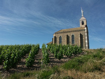 The Madone at Fleurie