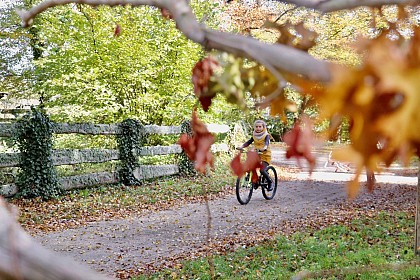 Bicycle rental - Domaine de la Dombes