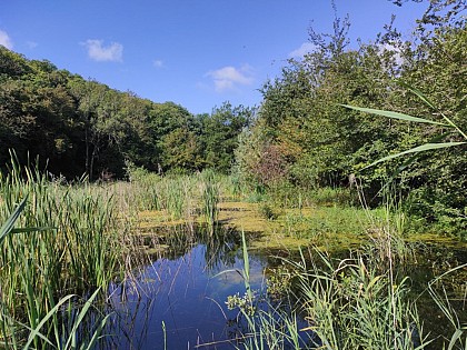 Tourbière du Grand Lemps