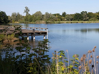 Parc de la Boucle公园，一片珍贵的鸟类天堂