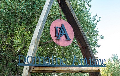 Wine domain Antiane