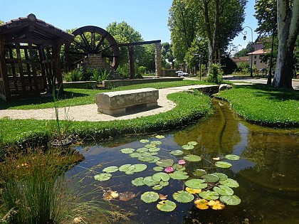 Chemin des plantes