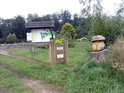 Arboretum of Etrez