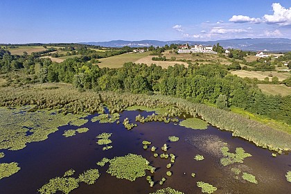 Observatoire ornithologique de l'étang de Salette