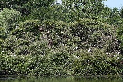 Ile de la Motte, ENS de l'Ain