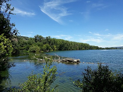 Butter Island