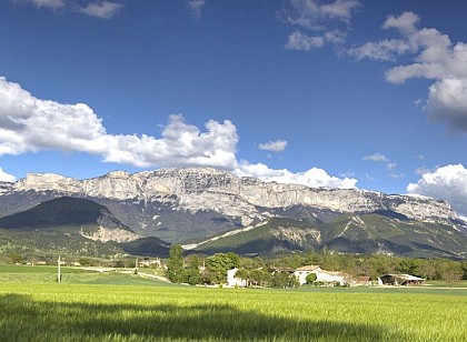 Glandasse