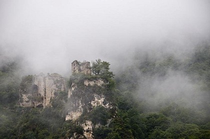 The castle of Rochechinard