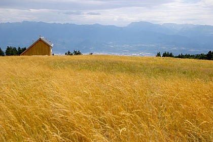 The shepherd's hut