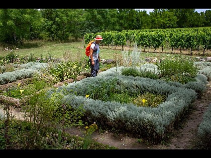 Jardin de la Commanderie de Sallebruneau