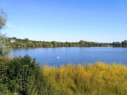 Sensitive Natural Area of ​​Olivettes