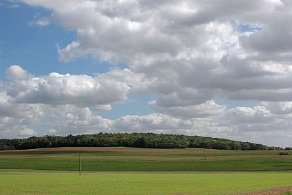 Espace naturel sensible de la butte de Montassis