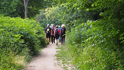 Natural area: Livry Park