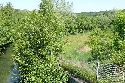 the Cercanceaux marshes