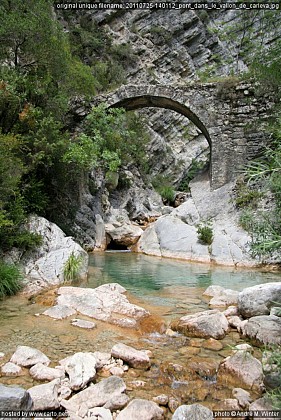 Carleva natural basin