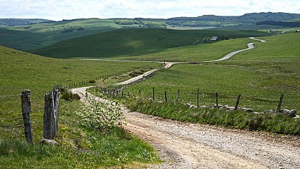 Le plateau de l'Aubrac